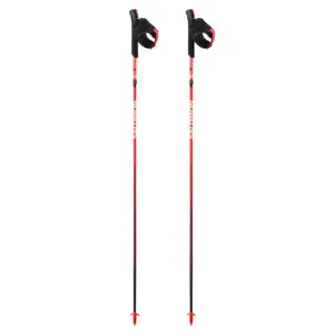 SALOMON BASTONES S/LAB ULTRA CARBON